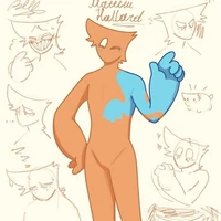 matthew ( điềm tĩnh)