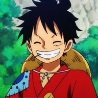 Monkey D Luffy