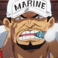 Sakazuki Akainu