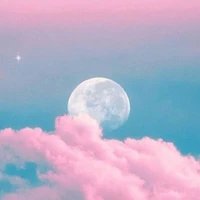 báo tác giả xàm lùi