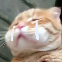 all