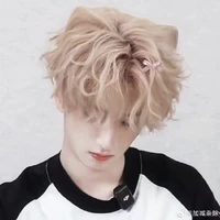 Nghiêm Hạo Tường