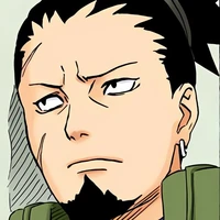 Nara Shikaku