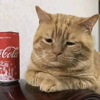 tg đã nhắc đến bạn