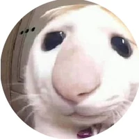tg zô tri :))