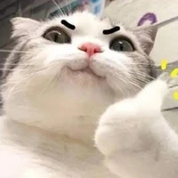 tác giả khùng nhưng điên