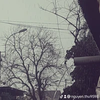 Mie