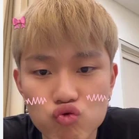 dương domic