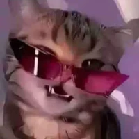 Đa nv gái có cả trai