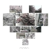 All{- những người cần -}