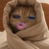 Cá muối