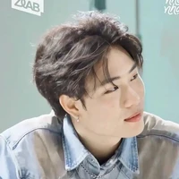 dương domic