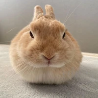 T/g