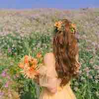 Liễu Vân Nguyệt