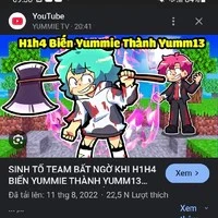 yum13