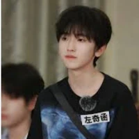 tả kì hàm