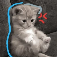 Như Ý