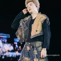 dương domic