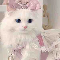 Crystal (dạng mèo)