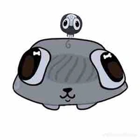 Pebble
