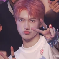 Nguyễn Thái Sơn (Jsol🐱)