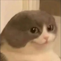 Hỏng phải HT🐧