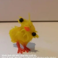 Danh Thị nhã Hân (bạn tác giả)