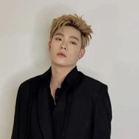 dương domic