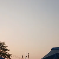 Trà Xanh_Mon