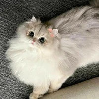 hệ thống ( Bảo Châu )