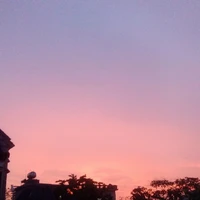 all ngẫu nhiên