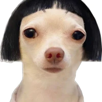Người Chó 🐶
