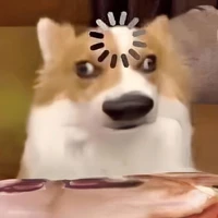 🐶