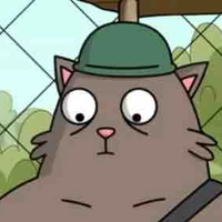 Bác bảo vệ loài mèo