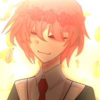 TT hiha