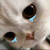 Bí ẩn(nữ chính)