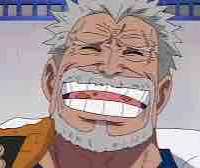 Monkey. D. Garp
