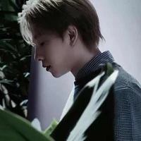 Trần Phong Hào (Nicky)