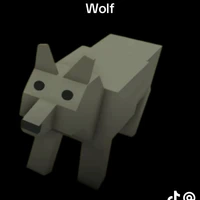 wolf