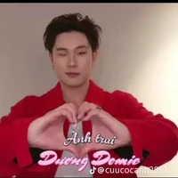 dương domic