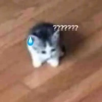 Na mê ngủ❄️💤