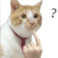 Tác giả
