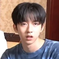 Hạ Tuấn Lâm