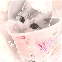 t/g meoww