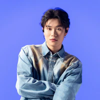 Trần Đăng Dương - Dương Domic