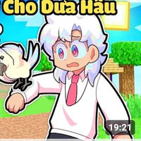 hiha hologram