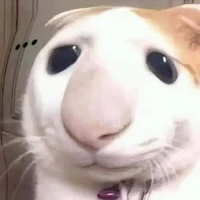 tác giả bị slay