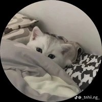 Đỗ Nguyễn Gia Hân (tao)