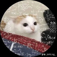 đám bạn của tau