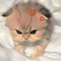 Gloriaa_t/g xinhdepp